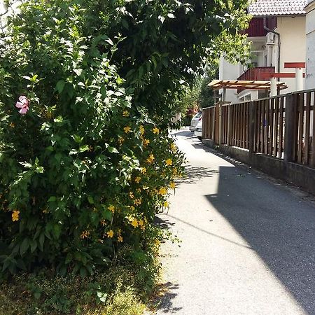 Sunflower Accommodation Ljubljana Bagian luar foto