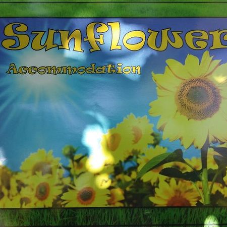 Sunflower Accommodation Ljubljana Bagian luar foto