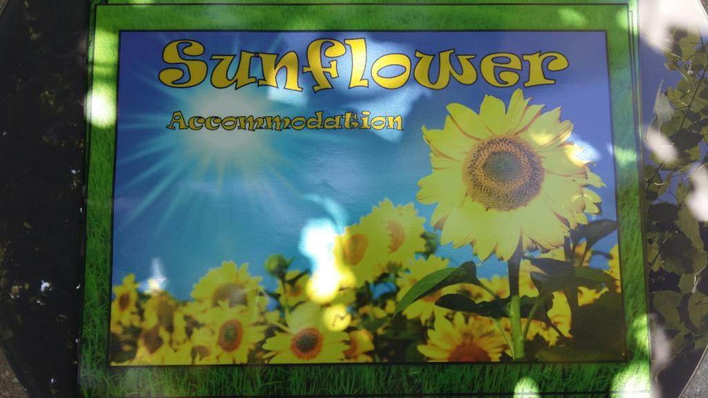 Sunflower Accommodation Ljubljana Bagian luar foto